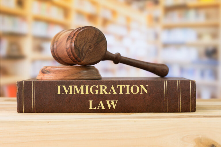 Immigration law