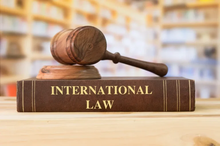 International Litigation